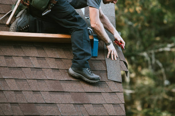 Quick and Trustworthy Emergency Roof Repair Services in Campo, CA